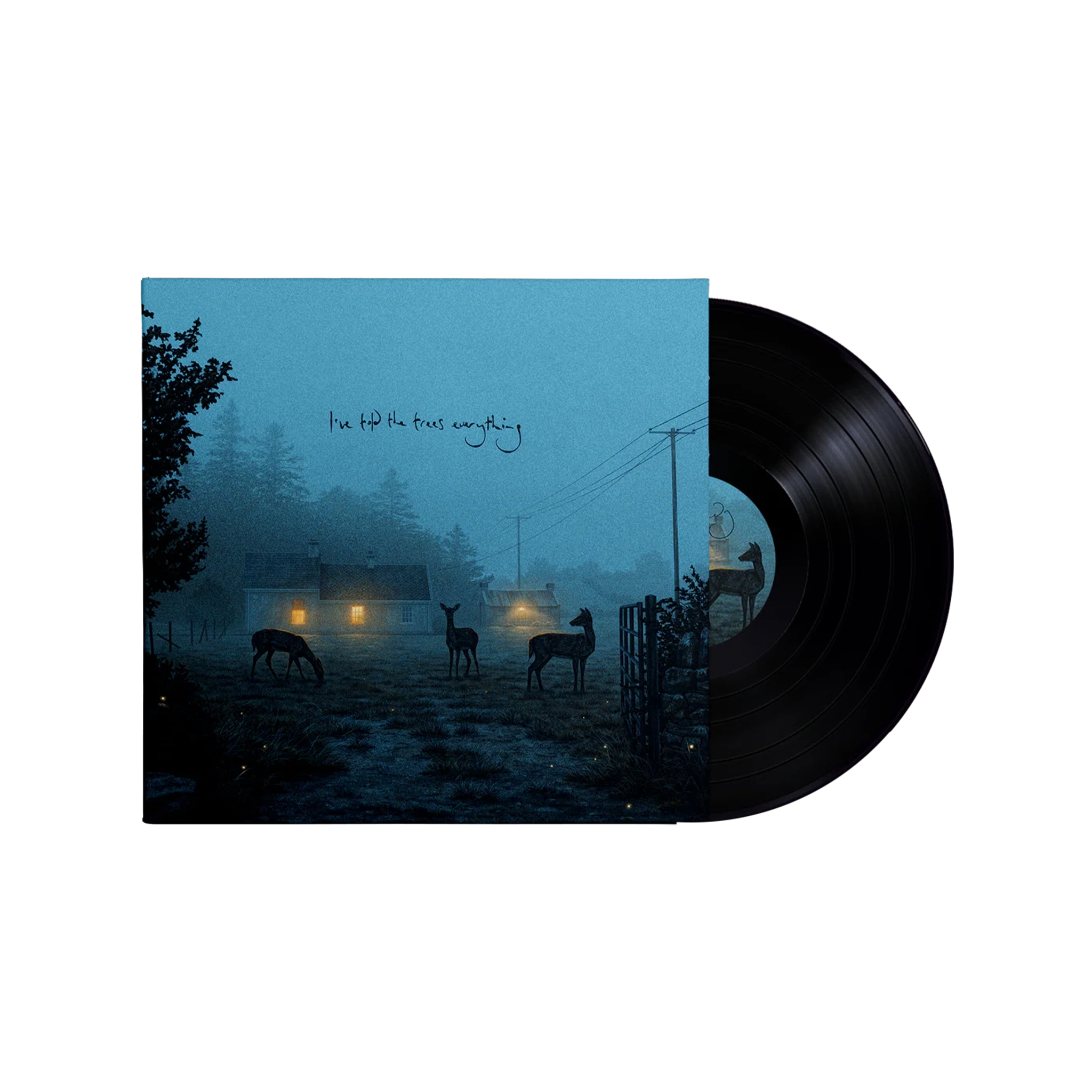 I've Told the Trees Everything: Midnight Black Vinyl - Dermot
