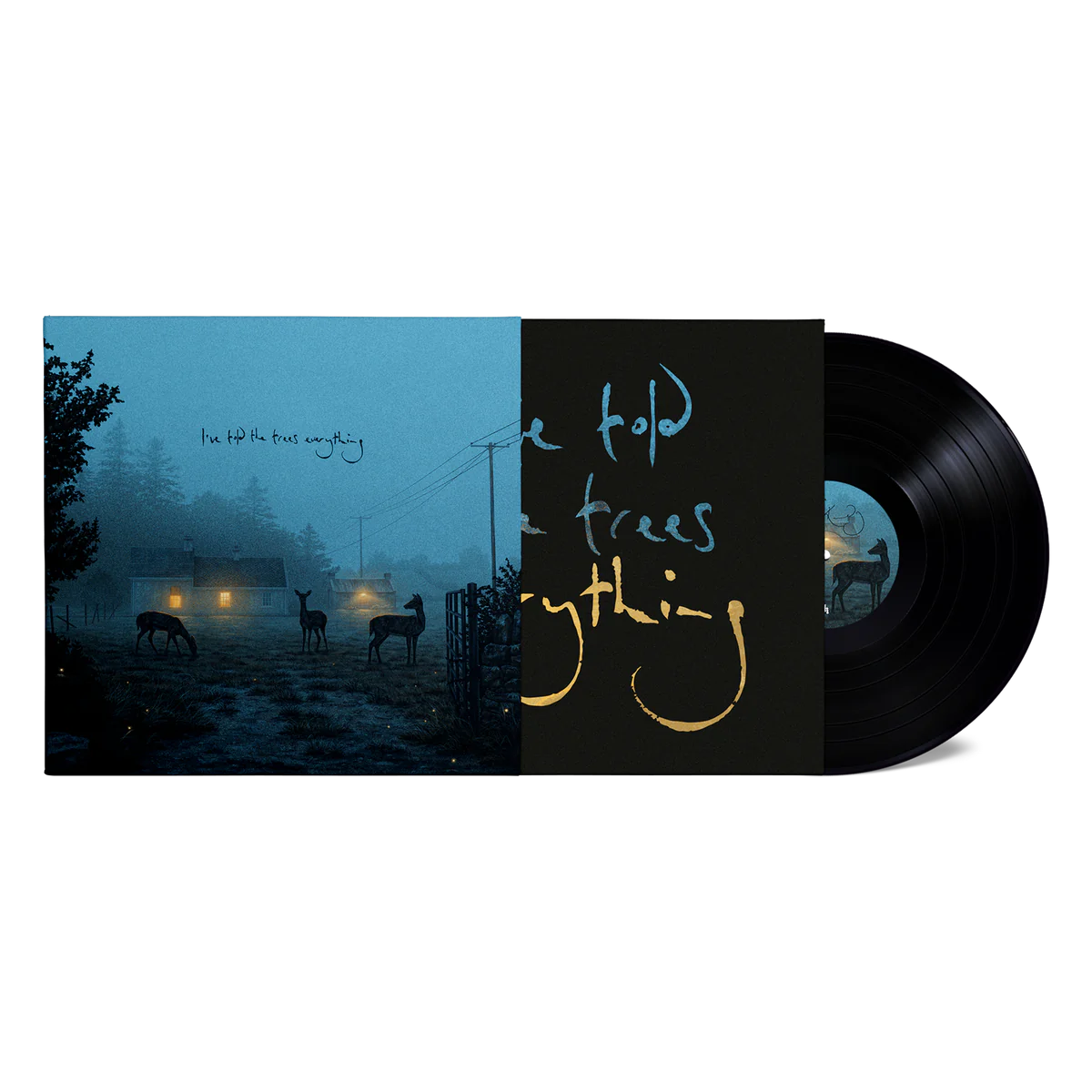 I've Told the Trees Everything: Midnight Black Vinyl